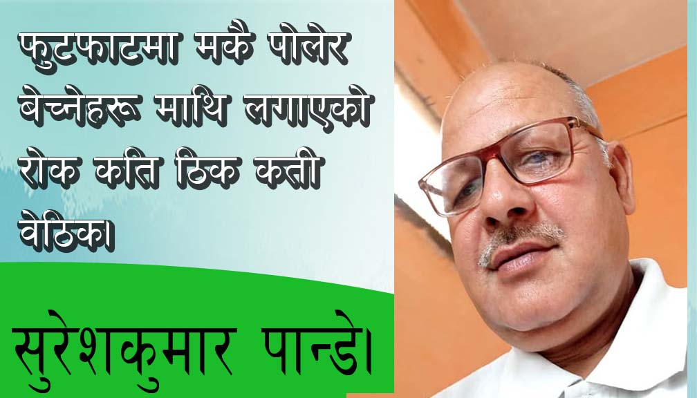 फुटफाटमा मकै पोलेर बेच्नेहरू माथि लगाएको रोक कति ठिक कती वेठिक।