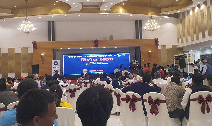 स्वतन्त्र उम्मेदवार हुन स्नातक पास हुनुपर्ने, चुनावमा उठेकै दिन सम्पत्ति विवरण सार्वजनिक गर्नुपर्ने