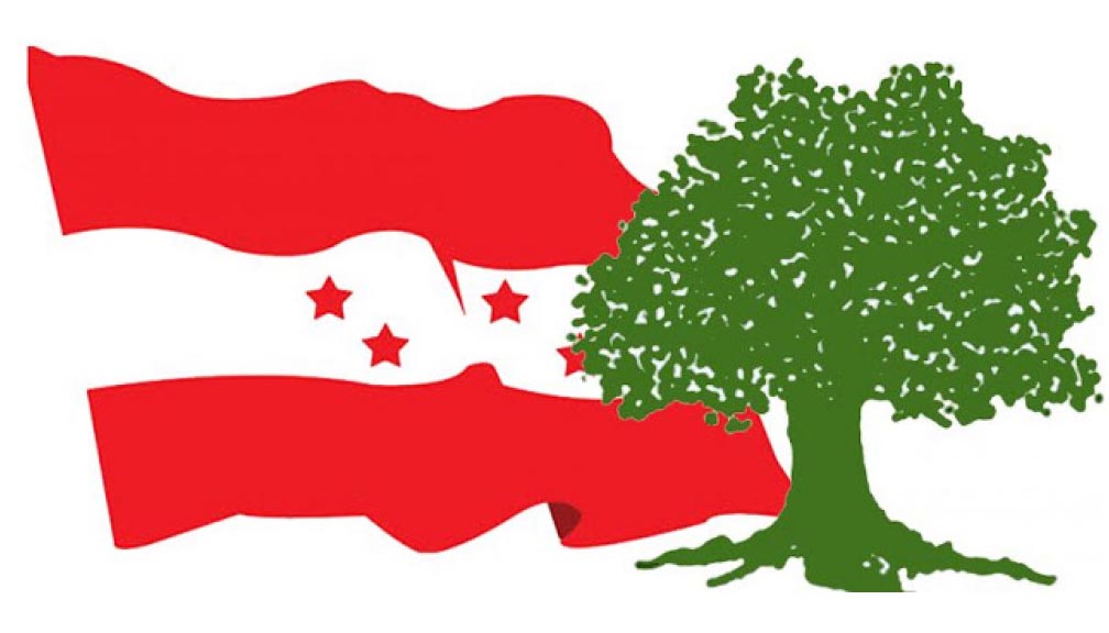 बाजुराको निर्वाचन क्षेत्रमा कांग्रेसले खटायो विष्ट र खड्का