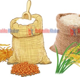 सुदुरपश्चिमका पहाडी ६ जिल्लाकाे खाद्यान्न बचत शून्य