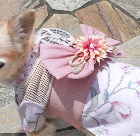 अब कुकुर बिरालोलाई गर्मी हुने छैन, जापानले बनायो पंखा जडित कपडा