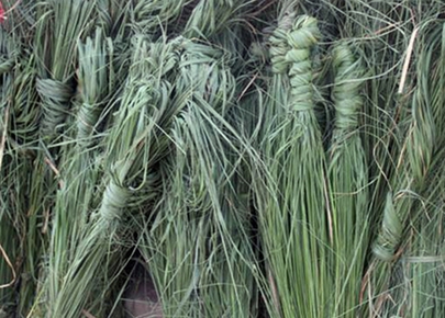 आज कुशे औँसी, बाबुको मुख हेर्ने दिन