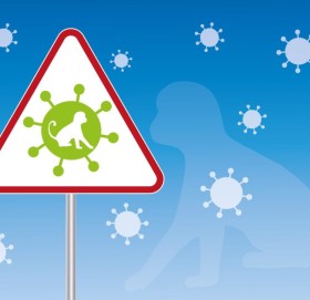 मङ्कीपक्सबाट एक भारतीय युवकको मृत्यु