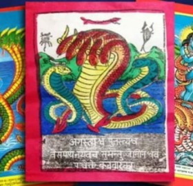 आज नागपञ्चमी, परम्पराअनुसार नागको पूजा अर्चना गरेर मनाइँदै