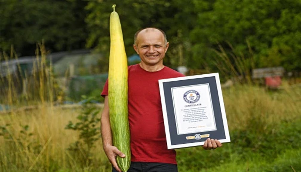 सबैभन्दा लामो काँक्रो फलाएर बेलायती किसानले राखे विश्व कीर्तिमान
