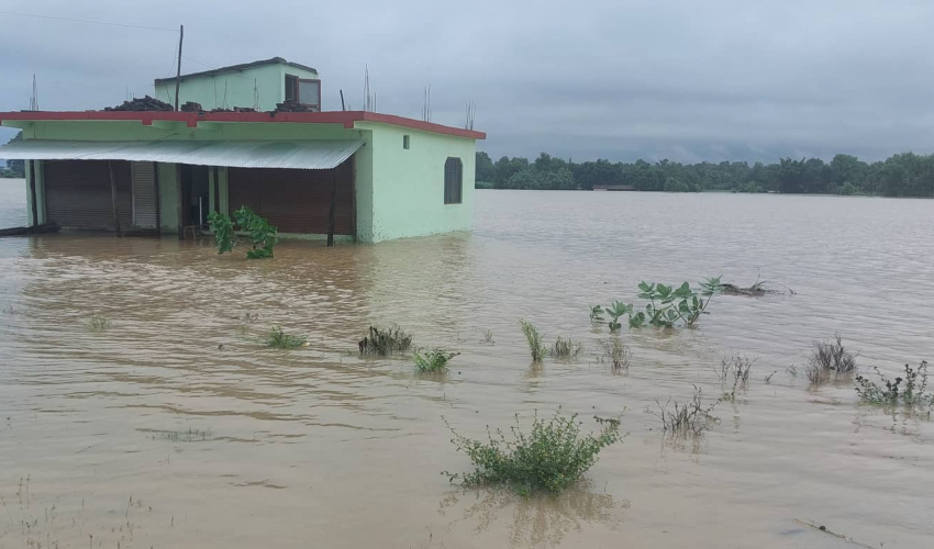 भजनीका ३ हजार घर डुबानमा, मेयर चौधरीद्वारा सहयोगको अपील