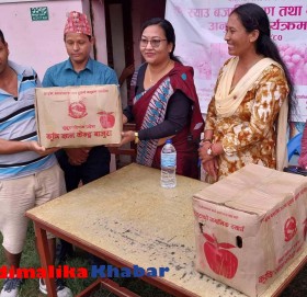 बाजुराको स्याउ धनगढी पुग्यो