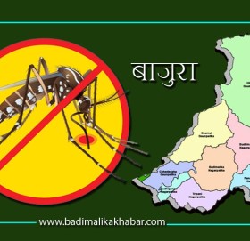 बाजुरामा  डेंगु सङ्क्रमण फैलिदै, ३ जनामा पुष्टी