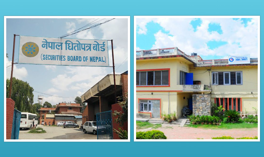 चुनावको मुखमा लाइसेन्स नै लाइसेन्स