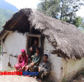 मुक्त हलिया घोषणा १४ बर्ष, हलिया प्रथा कायमै