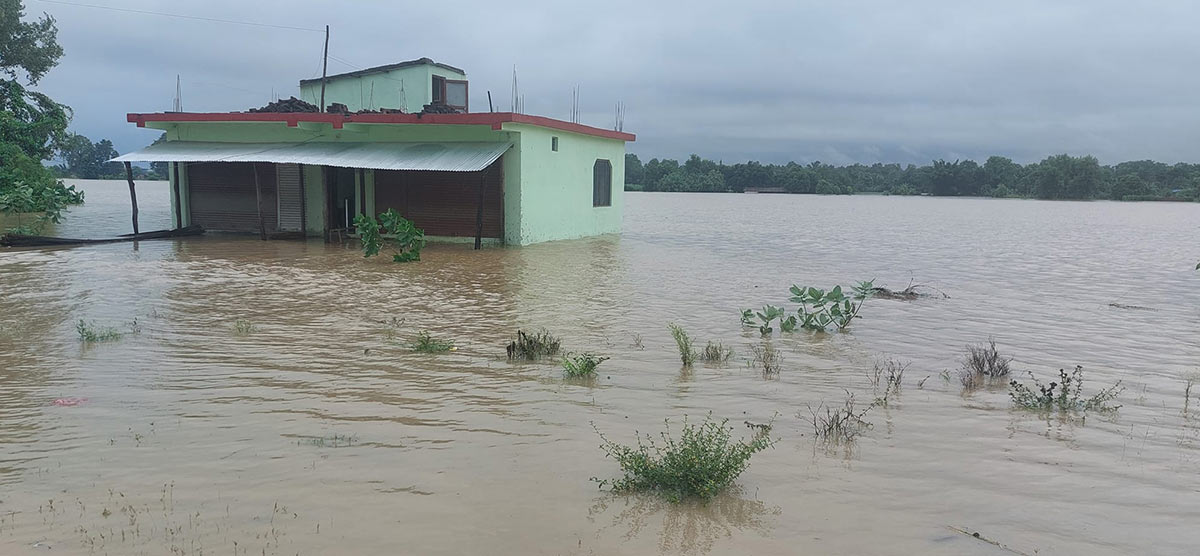 सुदूरपश्चिममा बाढी : कैलालीका १५ सय घर डुबानमा