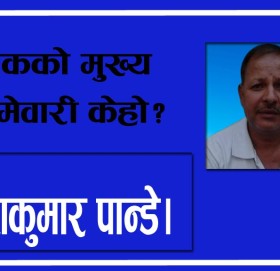 लेखकको मुख्य जिम्मेवारी केहो?