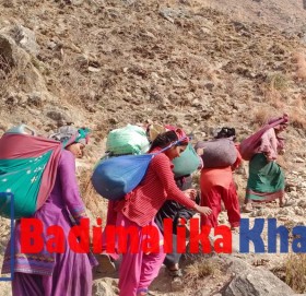 महँगीको मारमा दशै तिहार मनाउदै बाजुराबासी