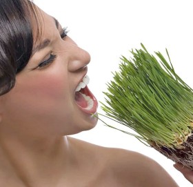 के मानिसले घाँस खानसक्छ ?