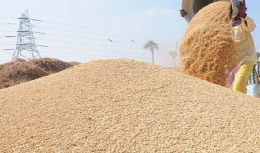 भारतले दियो धान निर्यातमा छुट