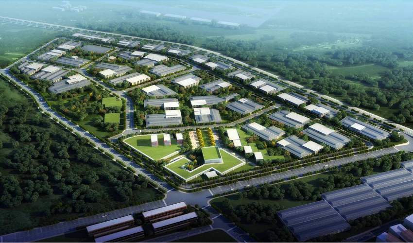 झण्डै २६ हजार रुख कटानको बाटो खुल्यो, एक अर्व बजेट विनियोजन