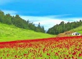 खप्तड : विकासका ठूला कुरा होइन, स-साना काम नै बाँकी