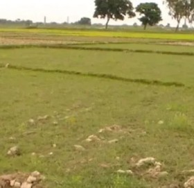 जमिनको कित्ताकाट नहुँदा राजस्वमा असर