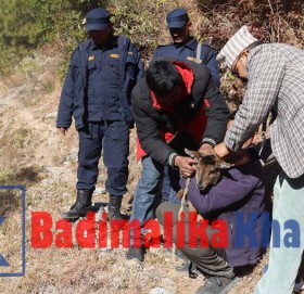 स्थानियले फेला पारेको घोरेल जंगलमा छाडीयो