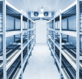 कञ्चनपुरको कलुवापुरमा शीतभण्डार निर्माण हुँदै