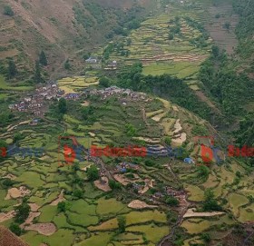 फोन गर्न अझै पनि डाँडा धाउदै बाजुराको हिमालीका स्थानिय