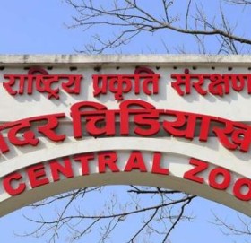 चिडियाखानाले उद्धार गर्नुपर्ने जीवजन्तु घटे