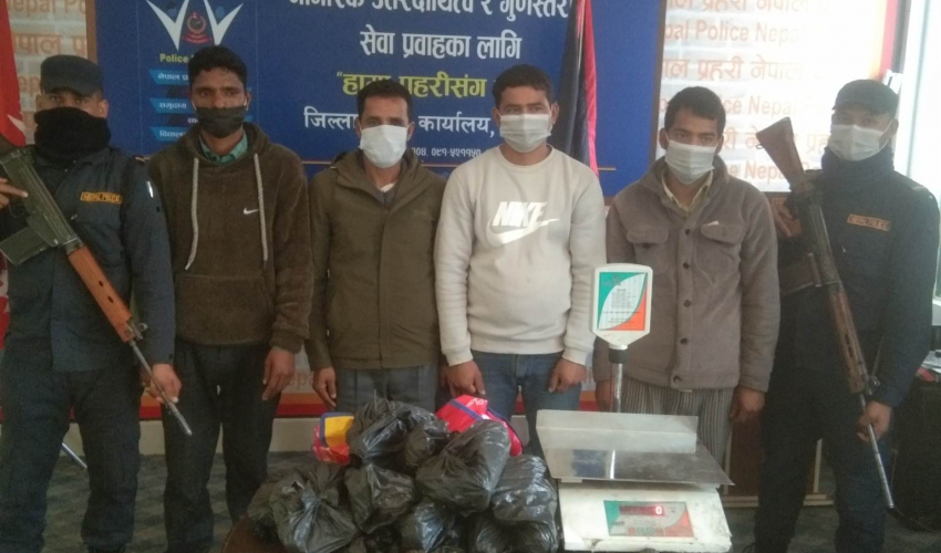 धनगढीमा उद्योग सञ्चालक पक्राउ, झण्डै १२ किलो चरेसहित थप तीन जना समातिए