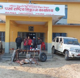 निकुञ्जमा जरायो मारेको घटनामा ४९ जनाविरुद्ध मुद्दा