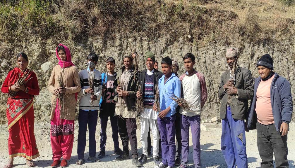 ओखर खेतीमा आत्मनिर्भर बनाउने बडिमालिका ७ को अभियान