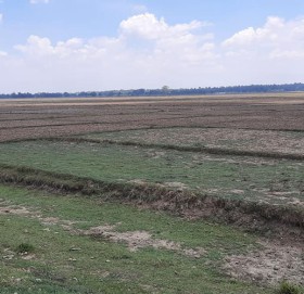 बागमती प्रदेशमा बाँझो जमिन खेती लगाउन दिनेलाई प्रतिरोपनी २ हजार अनुदान
