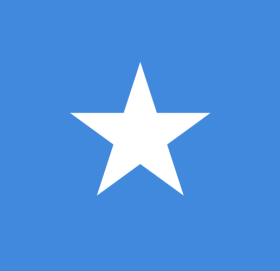 आत्मघाती बम विस्फोटमा सोमालियामा चारजना सैनिकको मृत्यु