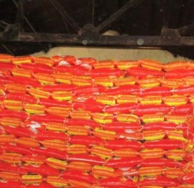 सुदूर पहाडका जिल्लाका लागि ७५ हजार क्विन्टल चामल ढुवानी