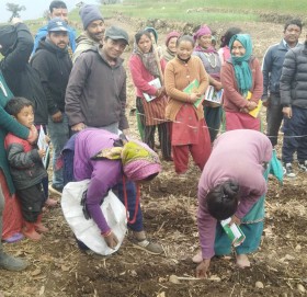 आलु उत्पादन बढाउन कृर्षि पाठशाला