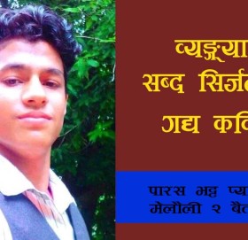 व्यङ्ग्यात्मक सब्द सिर्जनामा गद्य कविता