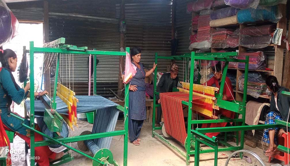 बडिमालिका नगरपालिकाद्धारा उद्योगी बनाउन गाउँगाउँमा सिपमुलक तालिम