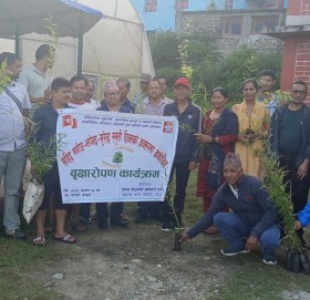 निजामति कर्मचारी संगठन बाजुराद्धारा वृक्षारोपण