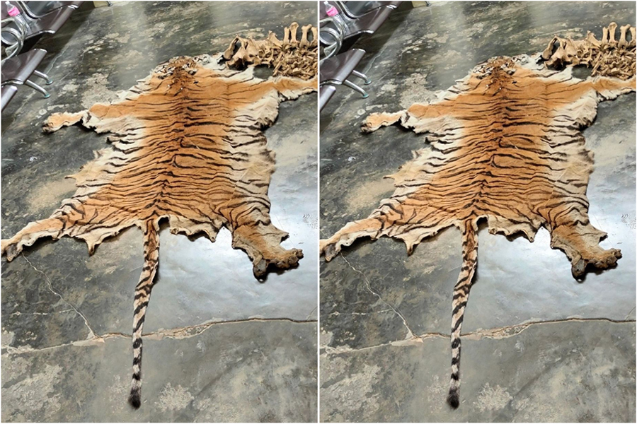 पाटेबाघको छाला र हड्डीसहित ४ जना पक्राउ