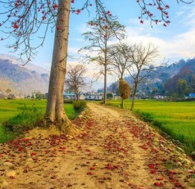 अछामको साँफेबगरमा जग्गा कित्ताकाट सुरु