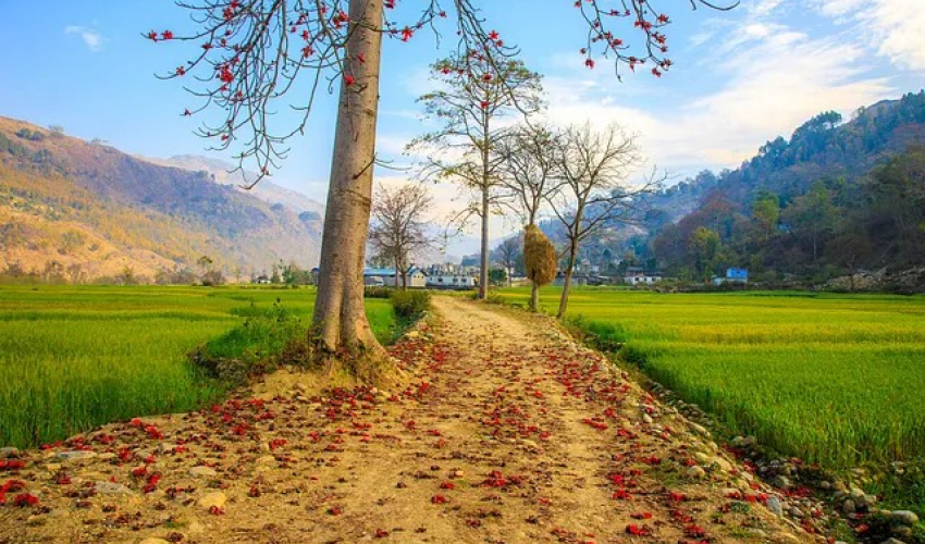 अछामको साँफेबगरमा जग्गा कित्ताकाट सुरु