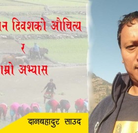 राष्ट्रिय धान दिवशको औचित्य र हाम्रो अभ्यास 