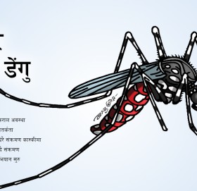 वर्षा लाग्यो डेंगुकै डर : दैनिक थपिँदै संक्रमित, नियन्त्रणमा बेवास्ता