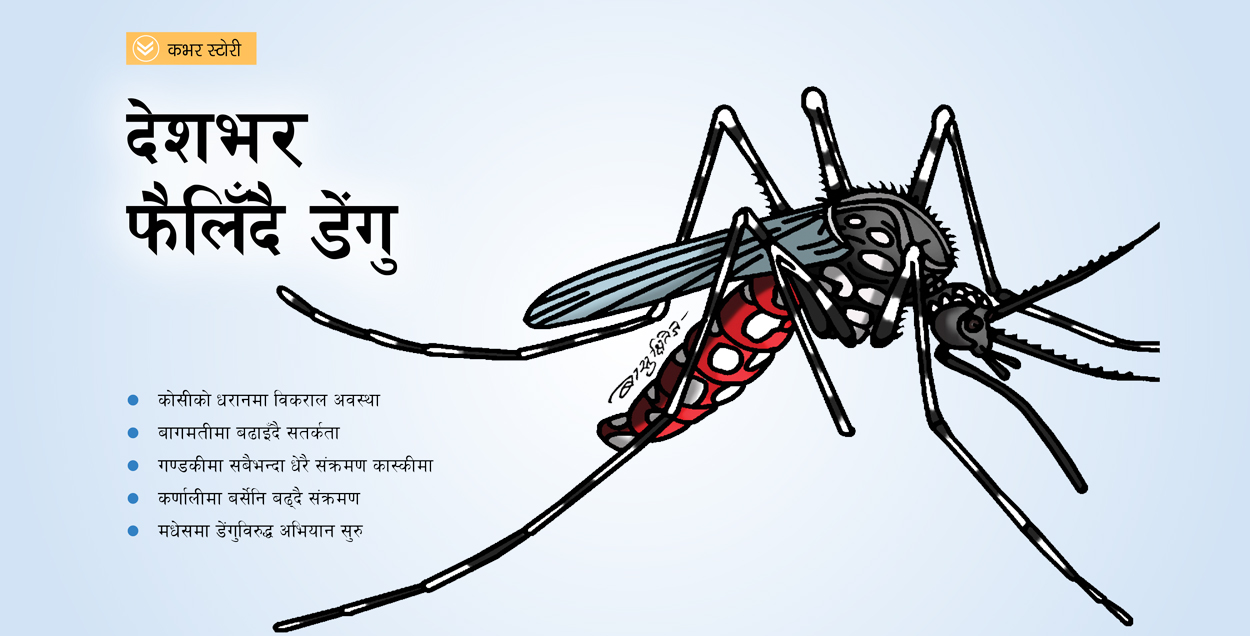 वर्षा लाग्यो डेंगुकै डर : दैनिक थपिँदै संक्रमित, नियन्त्रणमा बेवास्ता