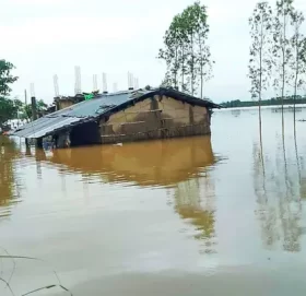 बाढी र डुबानबाट समस्यामा भजनीवासी