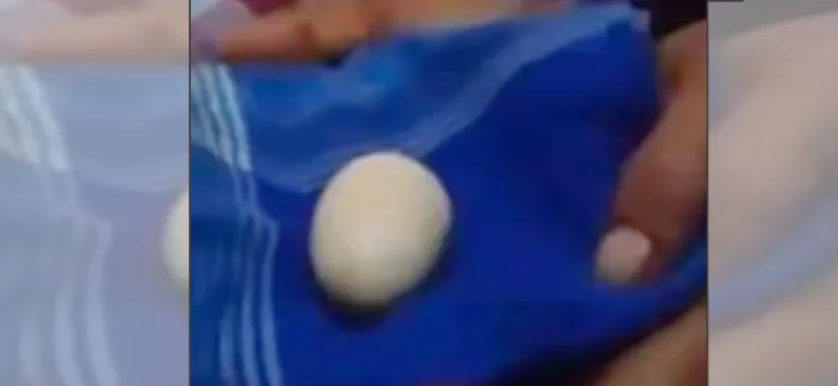 अनौठो घटना : अण्डा पार्ने १४ वर्षिय युवक