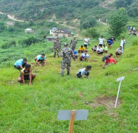 राष्ट्रिय भू- संरक्षण दिवसको अवसरमा नेपाली सेनाद्धारा बृक्षारोपण
