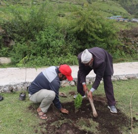 छेडेदह तालमा करिब ४ सयबढि बिरुवा रोपण