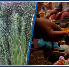 आज बुवाको मुख हेर्ने दिन : के छ कुशे औंसीको महत्त्व ?