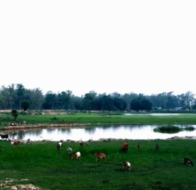 धनगढीमा ८४ ताल फेला, अतिक्रमण हटाएर संरक्षण गरिने