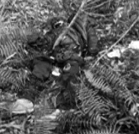 दार्चुलामा मानव कंकाल फेला