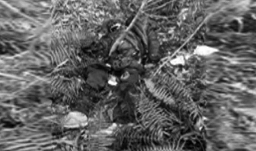 दार्चुलामा मानव कंकाल फेला